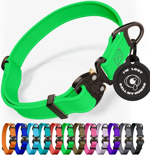 Miniatura 13 de Biothane - Collar de perro con hebilla de cobra, fabricado en Estados Unidos, etiqueta de identificación con código QR, collares de perro ajustables