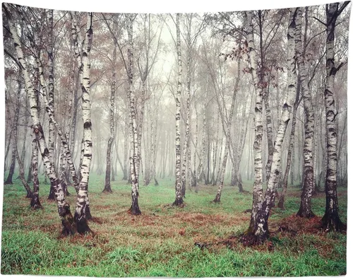 Miniatura 3 de Telón de fondo de tela de 5 x 3 pies con temática de bosque natural, fotografía, árbol de abedul, jungla verde hierba, fondo de paisaje de verano