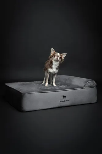 Miniatura 7 de NOAH & PAW Cama para Perro, 28x23x7.5 Pulgadas, Camas Ortopédicas para Perros de Tamaño Mediano, Espuma Viscoelástica Tipo Cáscara Infundida con Gel