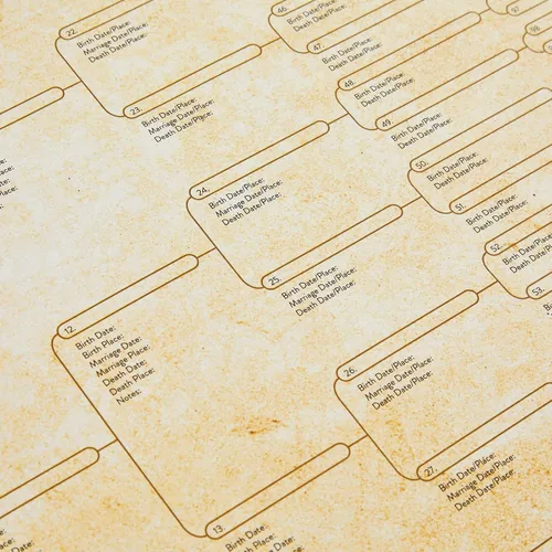 Miniatura 5 de Okuna Outpost Gráficos de árbol genealógico para rellenar – 8 gráficos de genealogía de generación con 255 espacios de nombres – Póster de árbol