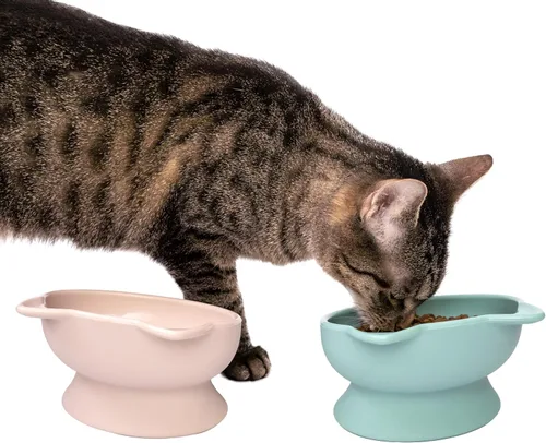 Miniatura 4 de Kitty City Cuencos Elevados para Gatos (Juego de 2), Platos Elevados Amigables con los Bigotes para Comida y Agua de Gatos, Diseño Moderno de rosado