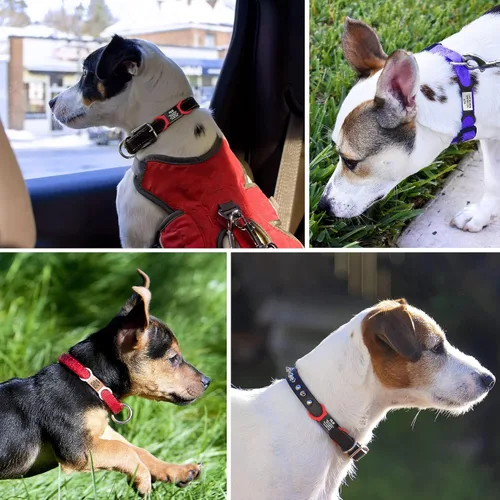 Miniatura 4 de Etiquetas de identificación de mascotas deslizables de acero inoxidable de 1 pulgada para gatos y perros, sin ruido, silenciosas, sin tintineos