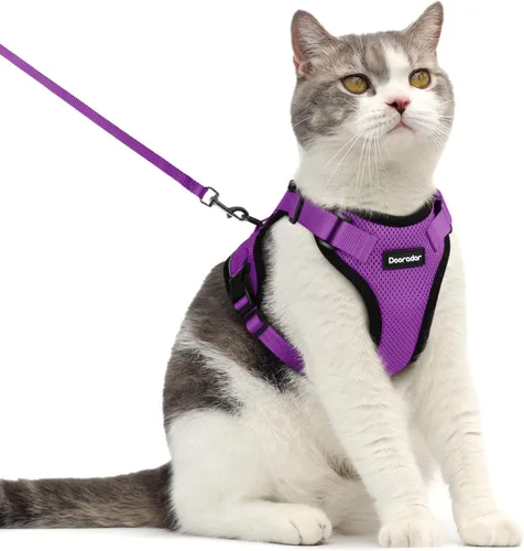 Miniatura 40 de Dooradar Juego de arnés y correa para gato, chaleco ajustable seguro a prueba de escapes, para caminar, chaqueta de malla suave y transpirable