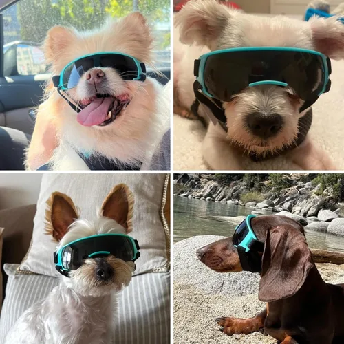 Miniatura 2 de ENJOYING Lentes de sol para perros de razas pequeñas, antirayos UV para perros pequeños, resistentes al viento, protección de ojos de perro