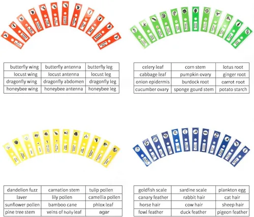 Miniatura 3 de Juego de 48 portaobjetos de microscopio preparados, animales, insectos, plantas, flores, recursos de aprendizaje biológico, especímenes para niños