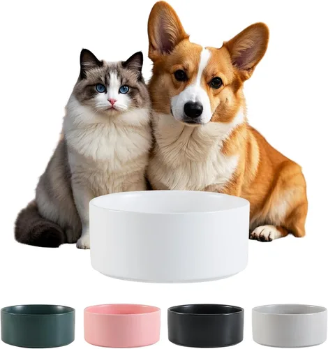 Cuenco de cerámica para perros para comida y agua, cuenco comedero para mascotas para perros pequeños a medianos y gatos grandes, plato de Blanco