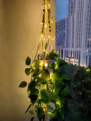 Miniatura 5 de Paquete de 2 colgadores de macramé para plantas con luces, cesta colgante para macetas de interior con cuentas de madera, soporte para macetas