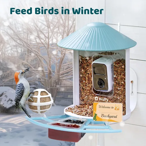 Miniatura 6 de NETVUE by Birdfy Pro Comedero Inteligente para Pájaros con Cámara y Panel Solar, Alertas de Llegada Instantáneas, Transmisión en Vivo y Visión Azul