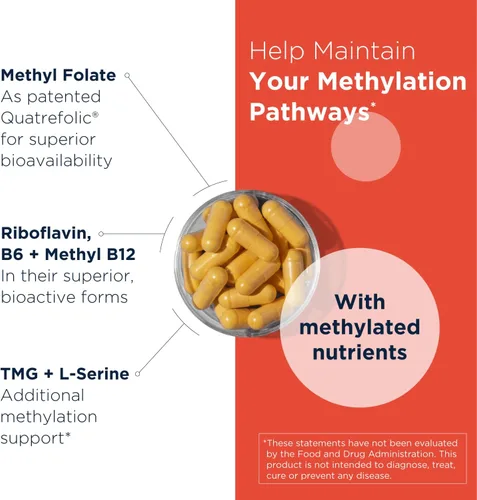 Miniatura 3 de Designs for Health Homocisteine Supreme - Vitaminas B metiladas con riboflavina, B6, B12, folato, L-serina y TMG para apoyo cerebral y salud