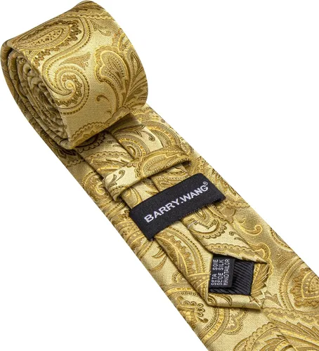 Miniatura 239 de Barry.Wang - Juego de corbata de seda para hombre, diseño de cachemira, pañuelo y gemelos de bolsillo