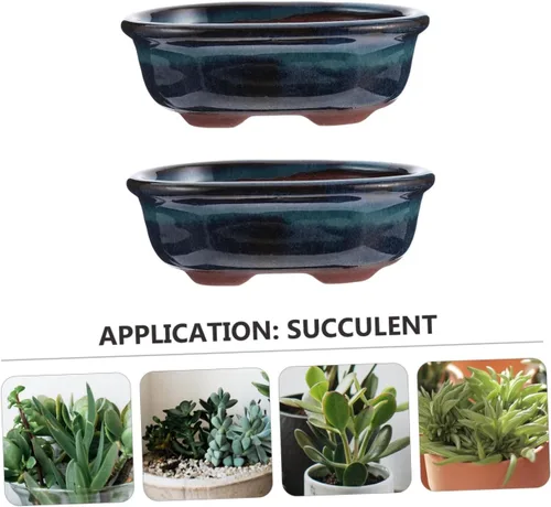 Miniatura 8 de Yardwe 2 macetas de cerámica esmaltadas para bonsái y cactus, elegantes adornos de escritorio decorativos para interiores para el año