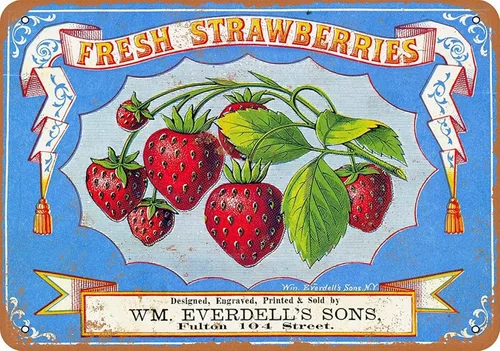 Ylens Letrero retro vintage de 8 x 12 pulgadas 1868 fresas frescas, bayas, frutas divertidas, alimentos, dulce verano, decoración de pared,