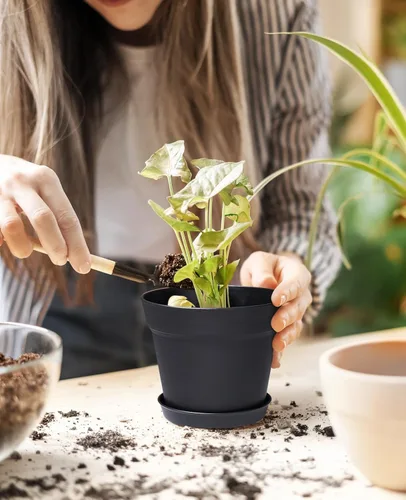 Miniatura 2 de homenote Macetas para plantas, paquete de 15 macetas de plástico de 6 pulgadas con múltiples agujeros de drenaje y bandeja, macetas para todas