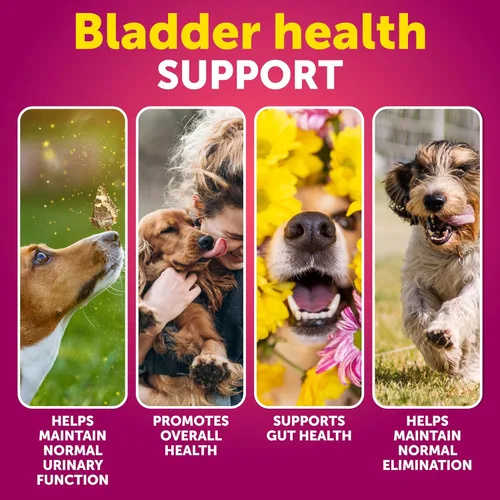 Miniatura 2 de Dog UT Treats - Bocadillos masticables de arándano para perros - Suplemento de apoyo para el tracto urinario y la vejiga con extracto natural