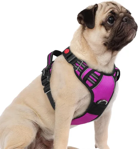Miniatura 44 de rabbitgoo Arnés para perro de tamaño pequeño, chaleco para perro sin tirones con 3 hebillas, arnés ajustable y acolchado suave para mascotas con asa