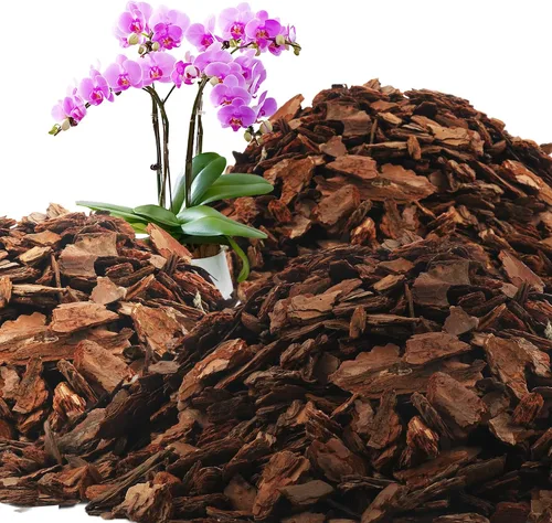 Miniatura 17 de AVALUTION Corteza para macetas de orquídeas: corteza de orquídea orgánica de 3 cuartos para plantas, todos los chips de madera de corteza de pino
