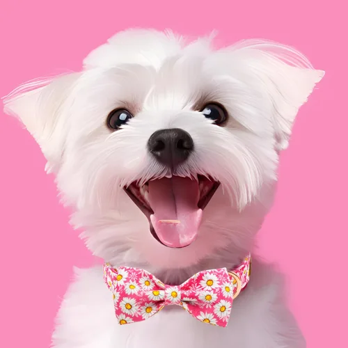 Miniatura 4 de Tunkoo Pink Daisy - Collar para perro con corbata de lazo de flores, collar ajustable de algodón de alta calidad, hebilla de metal duradera