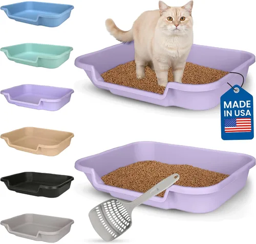 Miniatura 50 de KittyGoHere - Caja de arena para gatos mayores, sartén pequeña con cuchara jumbo de mango largo, caja de arena para gatos de entrada baja, ligera