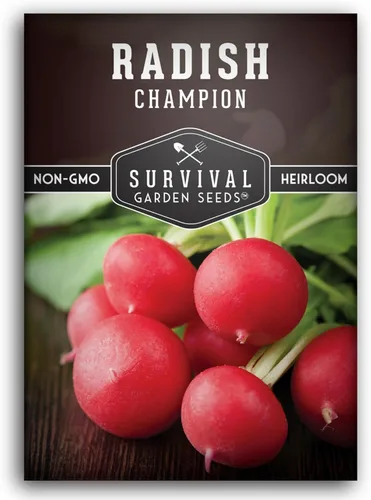 Champion - Semillas de rábano para plantar, reliquia de rápido crecimiento para jardines de primavera y otoño, rábanos rojos redondos grandes, pulpa