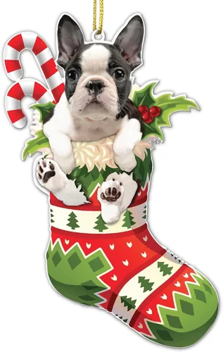Miniatura 15 de Adorno acrílico plano de Navidad para perro de montaña bernés, adorable cachorro de montaña bernés en calcetín con bastones de caramelo, decoración