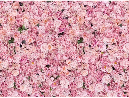 CGXINS Fondo de fotografía de pared de rosas rosas de 8 x 6 pies, fondo de fotografía de flores rosas para niñas, fiesta de cumpleaños, boda,