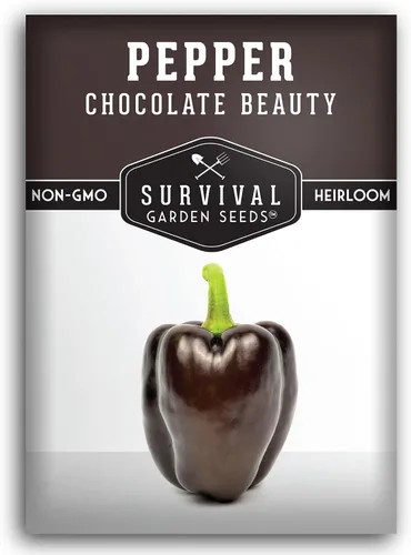 Survival Garden Seeds - Semilla de pimienta Chocolate Beauty para plantar - Paquete con instrucciones para plantar y cultivar hermosos pimientos