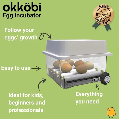 Miniatura 7 de OBI-12 Incubadoras de huevos para incubar huevos - Incubadora para 12 huevos con girador automático de huevos - criador para huevos de gallina
