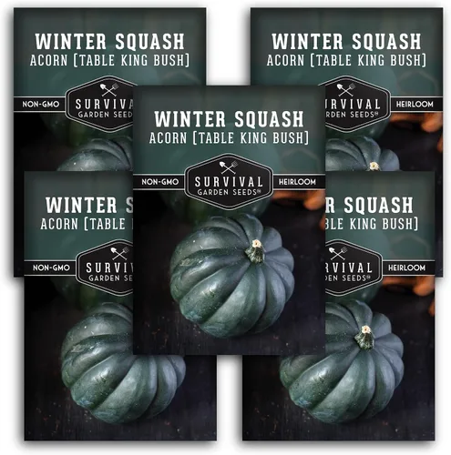 Miniatura 11 de Table King - Semilla de calabaza bellota para plantar, 1 paquete con instrucciones para plantar y cultivar calabazas de invierno estilo arbusto