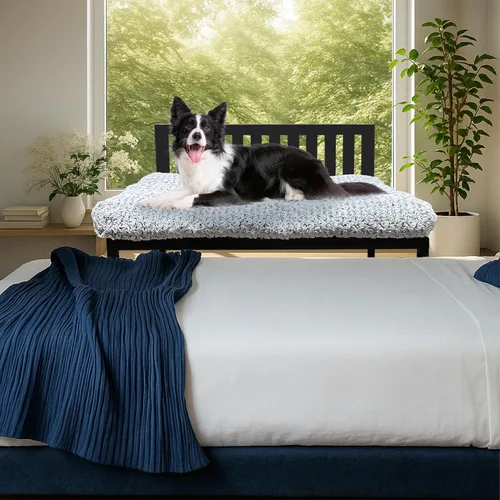Miniatura 7 de Beside - Cama para perro, literas para perros de altura ajustable, marco de cama de metal para perros de 40 x 28 pulgadas con cojín, tamaño grande