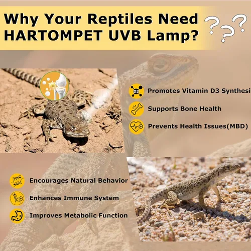 Miniatura 4 de Luz de reptil UVB 10.0 de 26 W, bombilla compacta de desierto para dragones barbudos, lagartos, serpientes, geckos, anfibios, lámpara UVA UVB