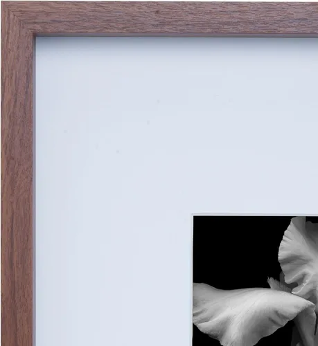Miniatura 3 de Mikasa Wood Gallery - Marco de pared de 15 x 15 pulgadas, mate a 5 x 7, 16 x 1.57 x 16 pulgadas, nogal