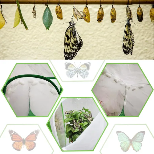 Miniatura 5 de EATAKWARD Recinto de malla para plantas, 15.7 x 15.7 x 2 pulgadas, jaula plegable de malla para cría, cubierta de plantas de tienda de cultivo