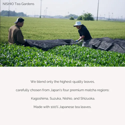 Miniatura 7 de TAKENAKAEN SASHICHI - Polvo de matcha japonés "Kouun no Shiro" grado ceremonial de 1.06 oz, grado premium, fabricado en Japón
