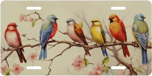 Placa decorativa de matrícula delantera para auto con diseño de pájaros coloridos y ramas de flores, etiqueta de tocador, placa de metal para auto,