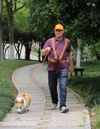 Miniatura 6 de Zojo Gorra de béisbol con 5 unidades, reflectante, transpirable, ligera, gorra de seguridad para hombres y mujeres 5PCS-sarga naranja neón