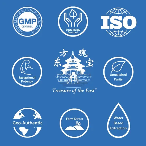 Miniatura 3 de Treasure of the East, Free and Easy Wanderer, Xiao Yao Wan 100 Cápsulas