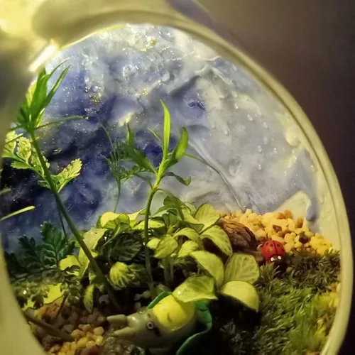 Miniatura 4 de PATIKIL Terrario Globo Redondo Maceta para Plantas de Aire, 3.2 Pulgadas de Alto Vidrio Borosilicato Decoraciones de Mesa para Suculentas