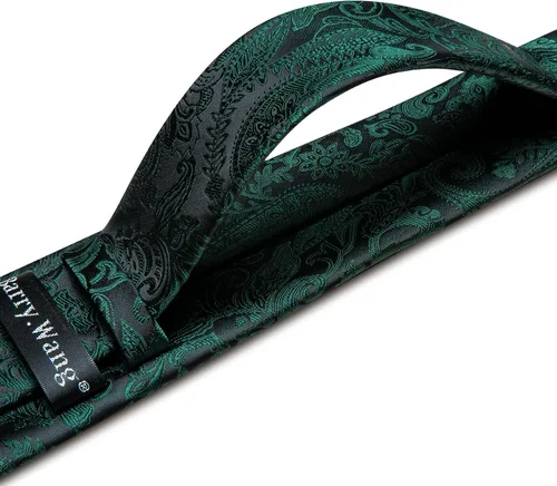 Miniatura 26 de Barry.Wang - Juego de corbata de seda para hombre, diseño de cachemira, pañuelo y gemelos de bolsillo