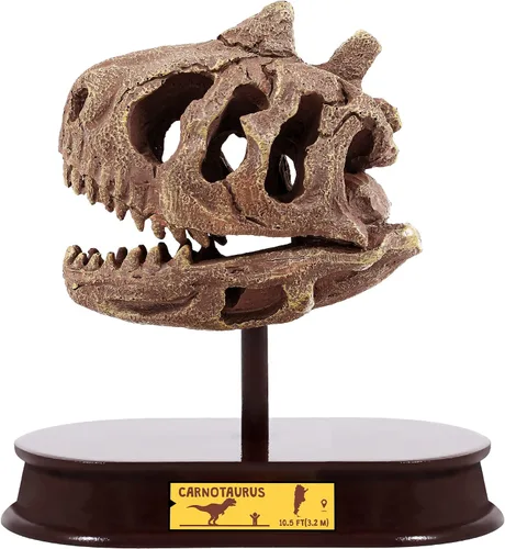 Miniatura 9 de ArtCreativity Kit de excavación de dinosaurios para niños, juego de excavación de cráneo de braquiosaurio con herramientas de excavación de fósiles