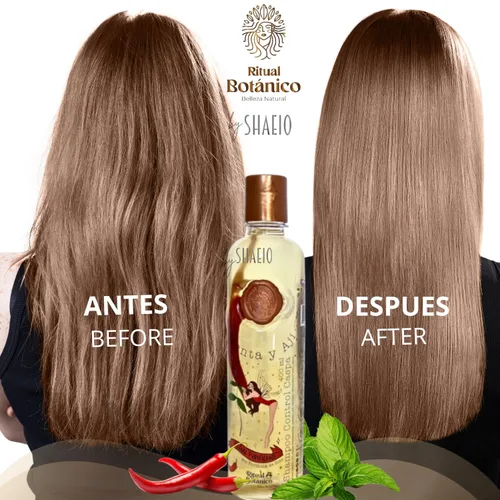 Miniatura 2 de RITUAL BOTANICO Champú para la Caspa Champú con Menta y Aji Control Caspa con Activo de Crecimiento Acelerado y Ultrareparador, Engrosamiento