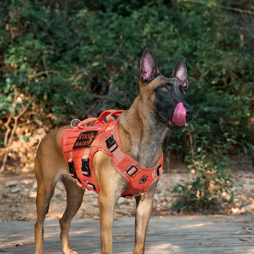 Miniatura 4 de OneTigris - Arnés táctico grande para perros, chaleco ajustable para perros sin tirones, arnés resistente para perros con asa, grandes paneles