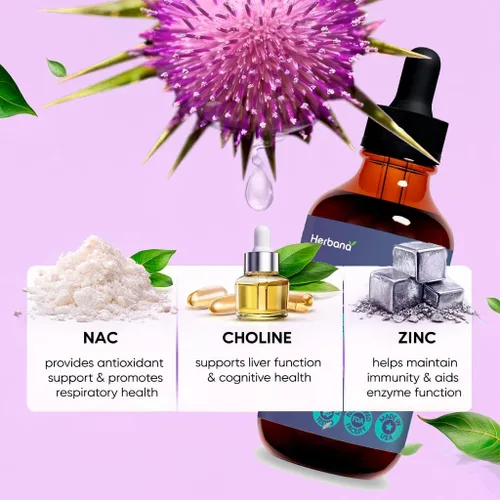 Miniatura 4 de Extracto líquido de ginseng rojo asiático y ginseng americano – Ginseng para energía, rendimiento cognitivo y enfoque – Tintura líquida