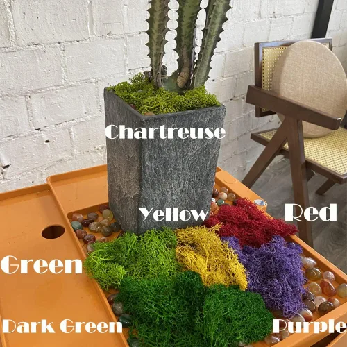 Miniatura 4 de Musgo de reno preservado de musgo falso de 3.5 onzas para plantas en maceta, artes y manualidades, terrarios, decoración de pared, centros de mesa