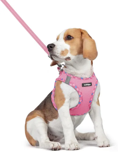 Miniatura 125 de rabbitgoo Juego de arnés para perro de tamaño pequeño y correa, chaleco ligero suave para cachorro, arnés de malla transpirable para mascotas