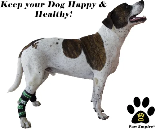 Miniatura 6 de Par de soportes para piernas de perro, ultra apoyo, cómodo, resortes de metal duales, soporte de hockey canino para artritis articular, ayuda a