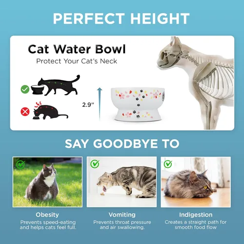 Miniatura 5 de Cuenco de agua elevado para gatos (edición limitada Sakura)