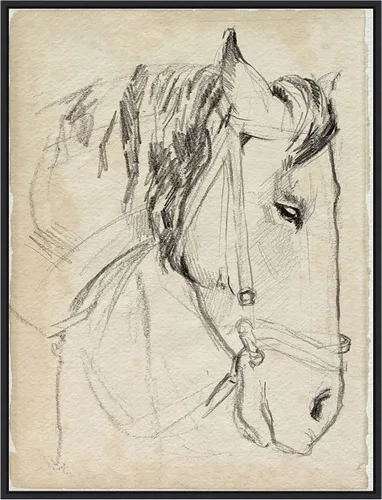 Miniatura 10 de Amanti Art Lienzo enmarcado para pared, diseño de caballo en brida, 24 x 18 pulgadas, boceto I de Jennifer Paxton Parker, lienzo enmarcado