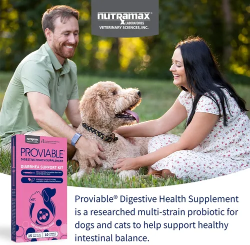 Miniatura 3 de Nutramax Probióticos proviables para perros y gatos pequeños, kit de apoyo para la diarrea, suplemento de salud digestiva con múltiples cepas