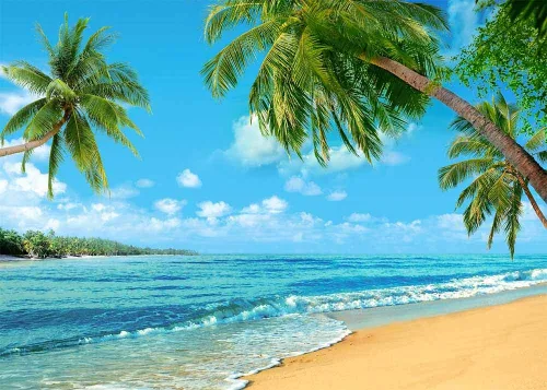 Miniatura 6 de Fondo tropical de verano para fotografía de palmera o playa, palmera o playa, cielo azul del mar, sol, Luau, fiesta, boda, novia, ducha, bebé