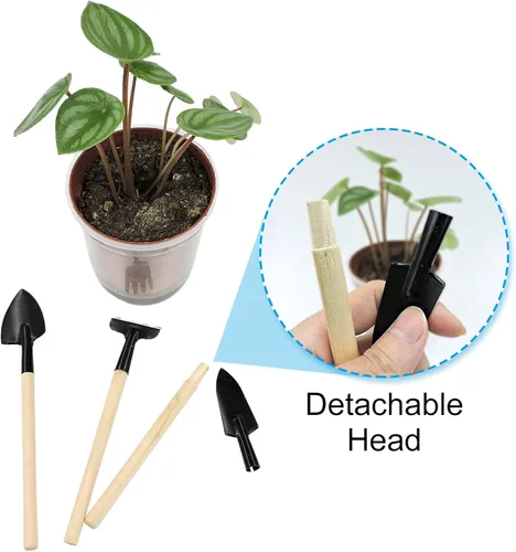 Miniatura 2 de Andiker Mini herramientas de jardinería, juego de 3 herramientas de mano de jardín portátiles, rastrillo de jardinería en miniatura paleta y pala